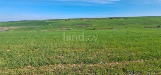 Landwirtschaftliches Baugebiet in Nicosia zu verkaufen