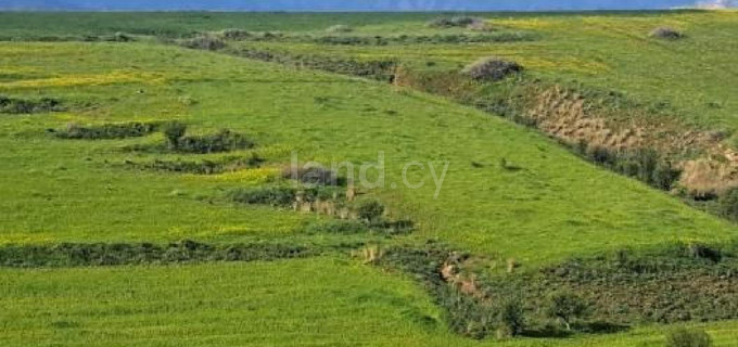 Landwirtschaftliches Baugebiet in Nicosia zu verkaufen