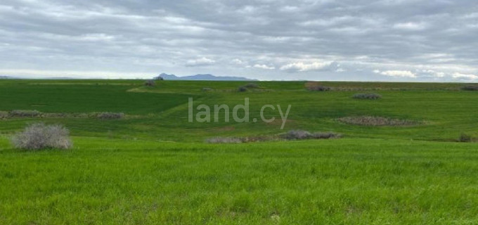 Agricultural field for sale in Nicosia