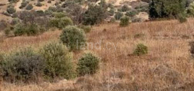 Agricultural field for sale in Paphos