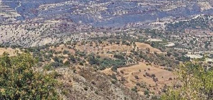 Terrain agricole à vendre à Paphos