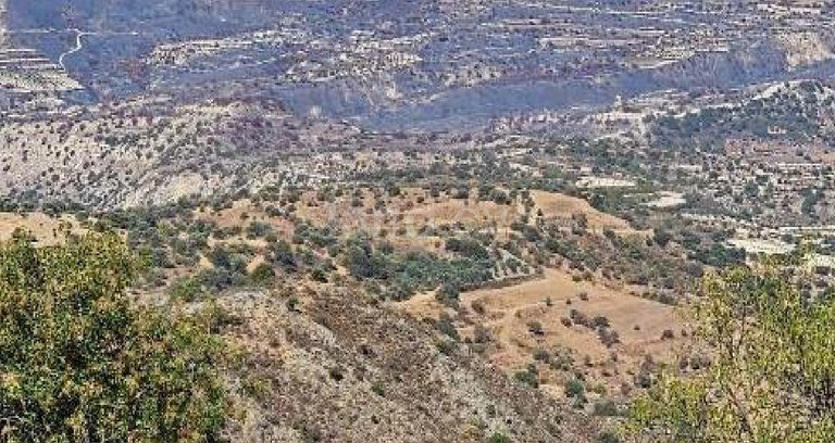 Terrain agricole à vendre à Paphos