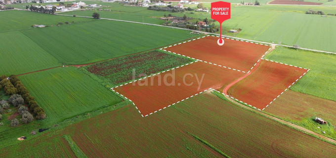 Terrain agricole à vendre à Avgorou