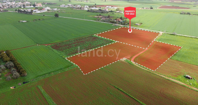 Terrain agricole à vendre à Avgorou