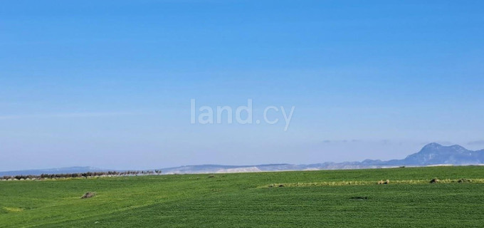 Terrain agricole à vendre à Nicosie