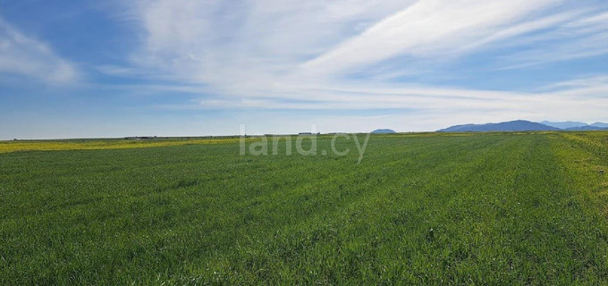 Terrain agricole à vendre à Nicosie