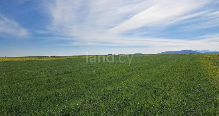 Terrain agricole à vendre à Nicosie