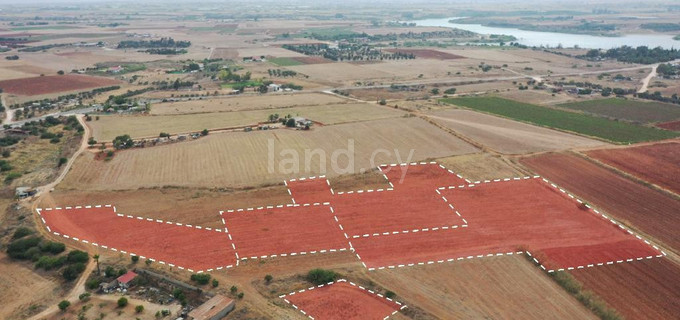 Campo agrícola a la venta en Avgorou