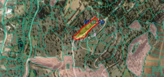 Campo agrícola a la venta en Nicosia