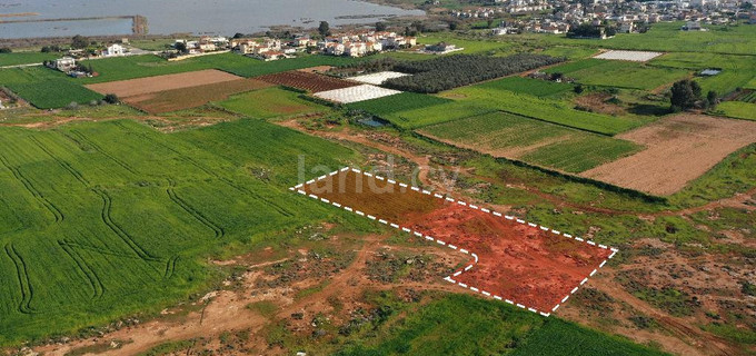Landwirtschaftliches Baugebiet in Sotira zu verkaufen