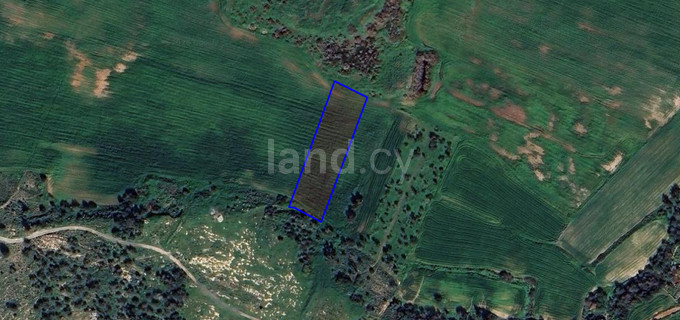 Campo agrícola a la venta en Paralimni