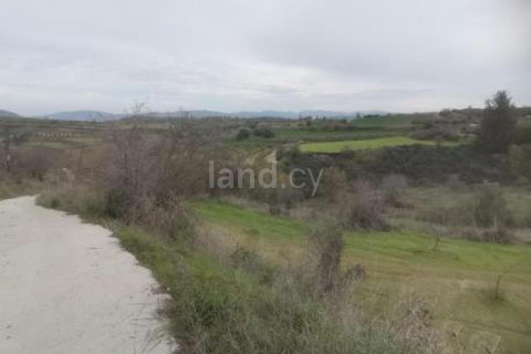 Agricultural field for sale in Paphos