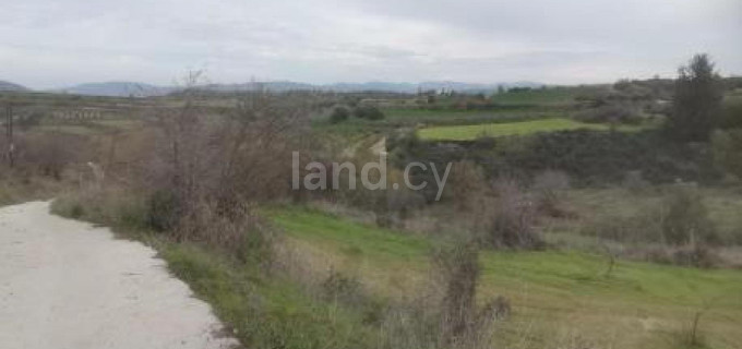 Agricultural field for sale in Paphos
