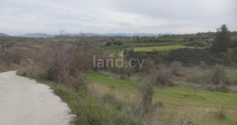 Agricultural field for sale in Paphos