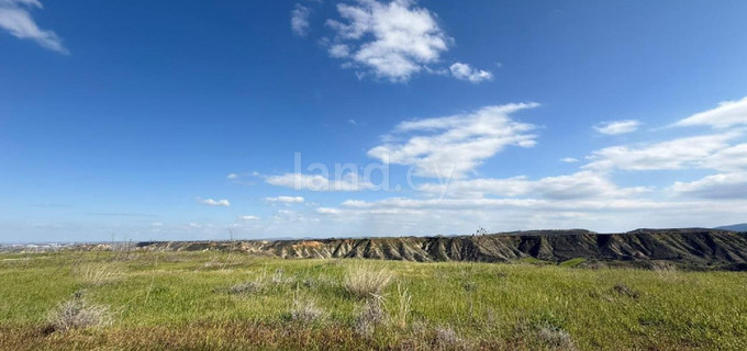 Agricultural field for sale in Nicosia