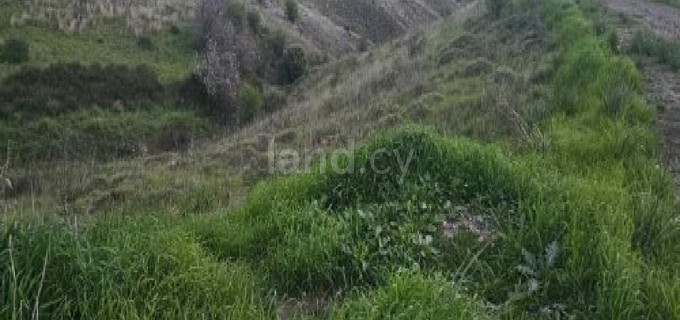 Agricultural field for sale in Paphos