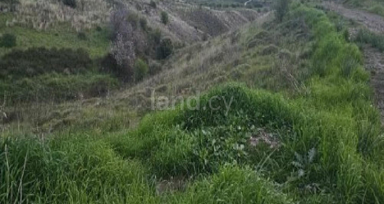 Terrain agricole à vendre à Paphos