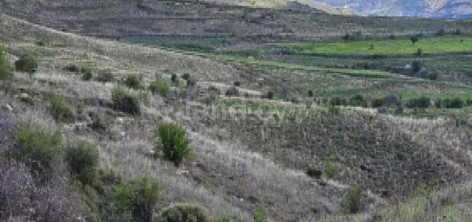 Agricultural field for sale in Paphos