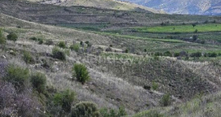 Terrain agricole à vendre à Paphos