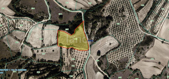 Agricultural field for sale in Paphos