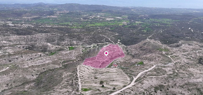 Agricultural field for sale in Larnaca