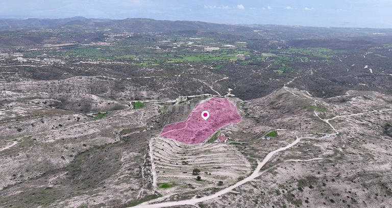 Agricultural field for sale in Larnaca