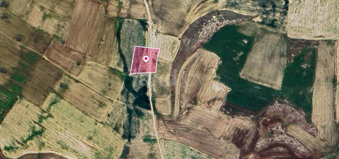 Agricultural field for sale in Nicosia