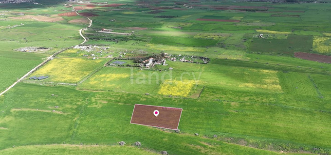 Agricultural field for sale in Nicosia