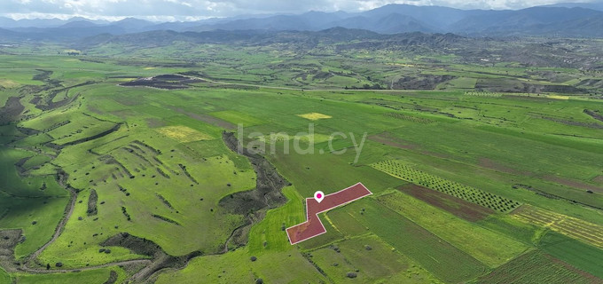 Agricultural field for sale in Nicosia