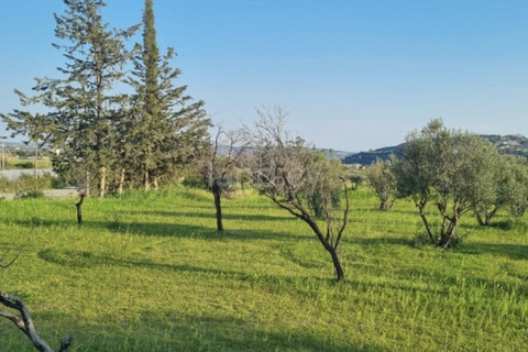 Wohngebiet in Limassol zu verkaufen