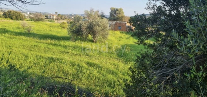 Οικιστικό αγροτεμάχιο προς πώληση - Λεμεσός