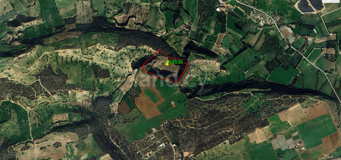 Agricultural field for sale in Larnaca