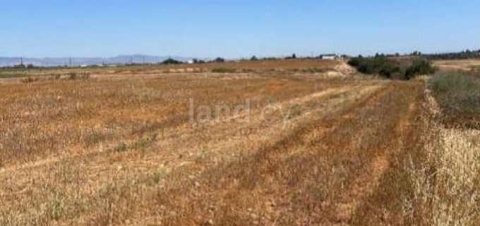 Jordbruksfält till salu i Achna