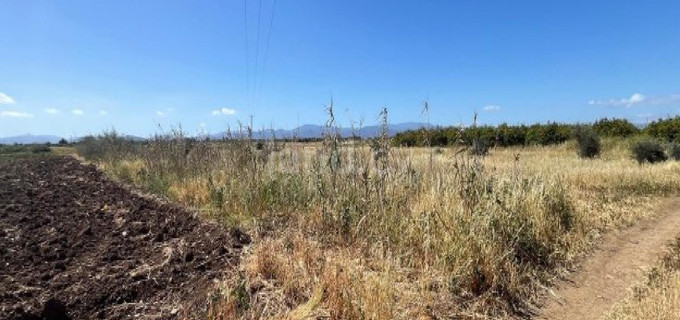 Landwirtschaftliches Baugebiet in Nicosia zu verkaufen
