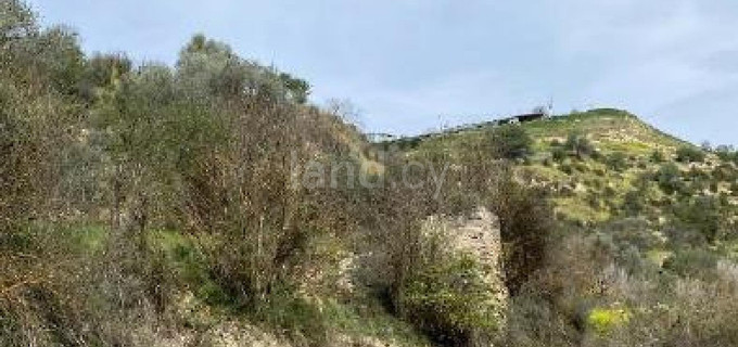 Agricultural field for sale in Paphos
