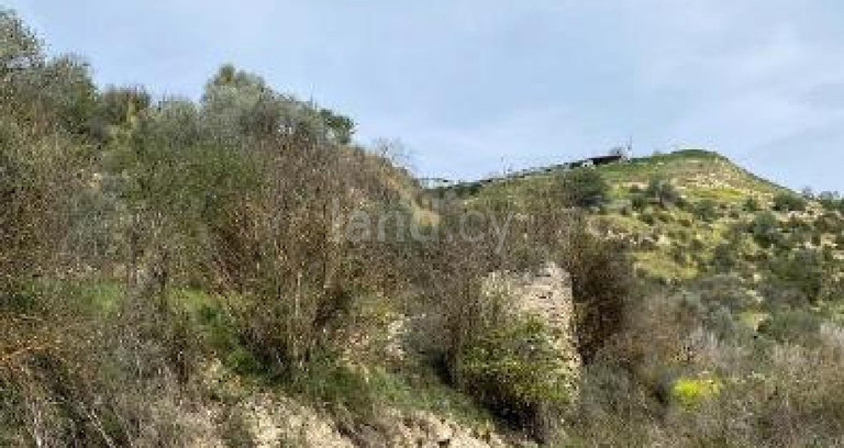 Agricultural field for sale in Paphos