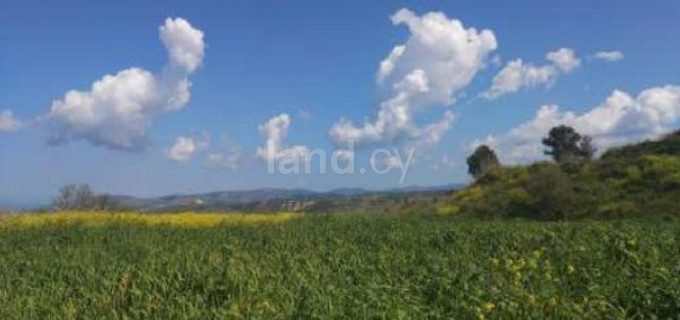 Jordbruksfält till salu i Paphos