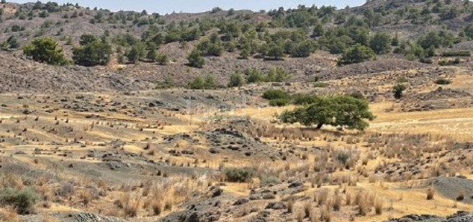 Agricultural field for sale in Nicosia