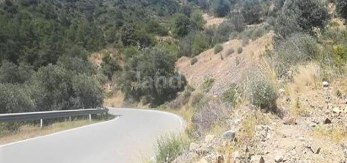 Jordbruksfält till salu i Nicosia