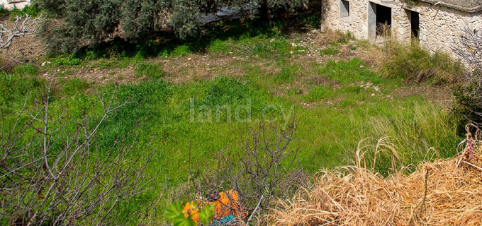 Residential field for sale in Paphos