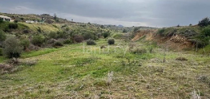 Αγροτικό αγροτεμάχιο προς πώληση - Λευκωσία