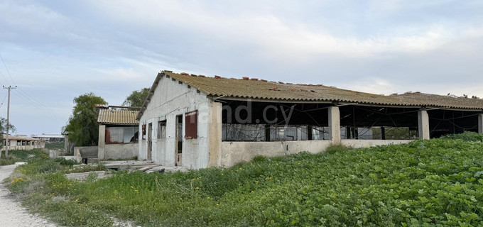 Agricultural field for sale in Larnaca