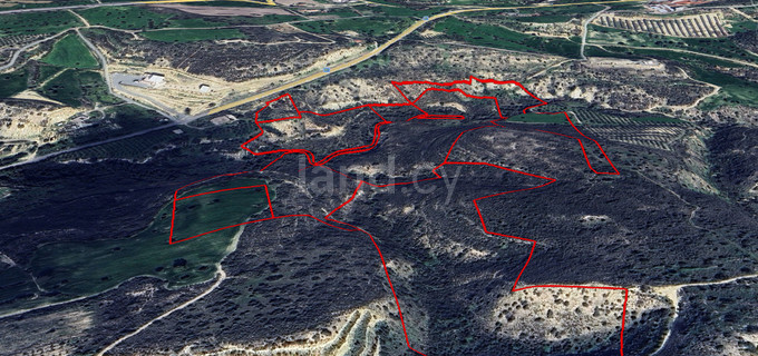 Agricultural field for sale in Larnaca