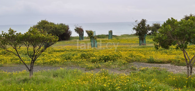 Wohnbaugrundstück in Larnaca zu verkaufen