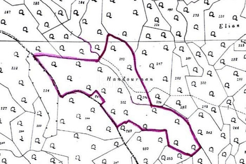 Agricultural field for sale in Larnaca