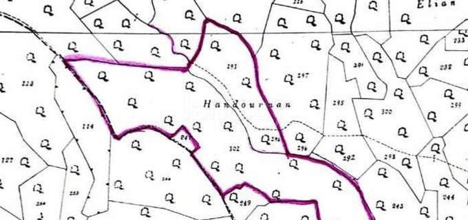 Agricultural field for sale in Larnaca