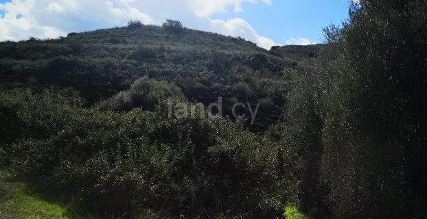 Campo a la venta en Limassol