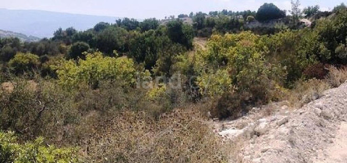 Αγροτικό αγροτεμάχιο προς πώληση - Πάφος