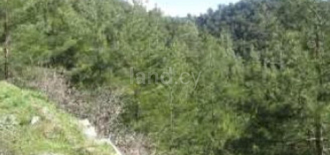 Campo agrícola a la venta en Nicosia