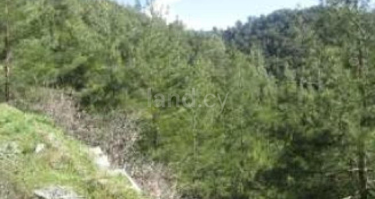 Agricultural field for sale in Nicosia